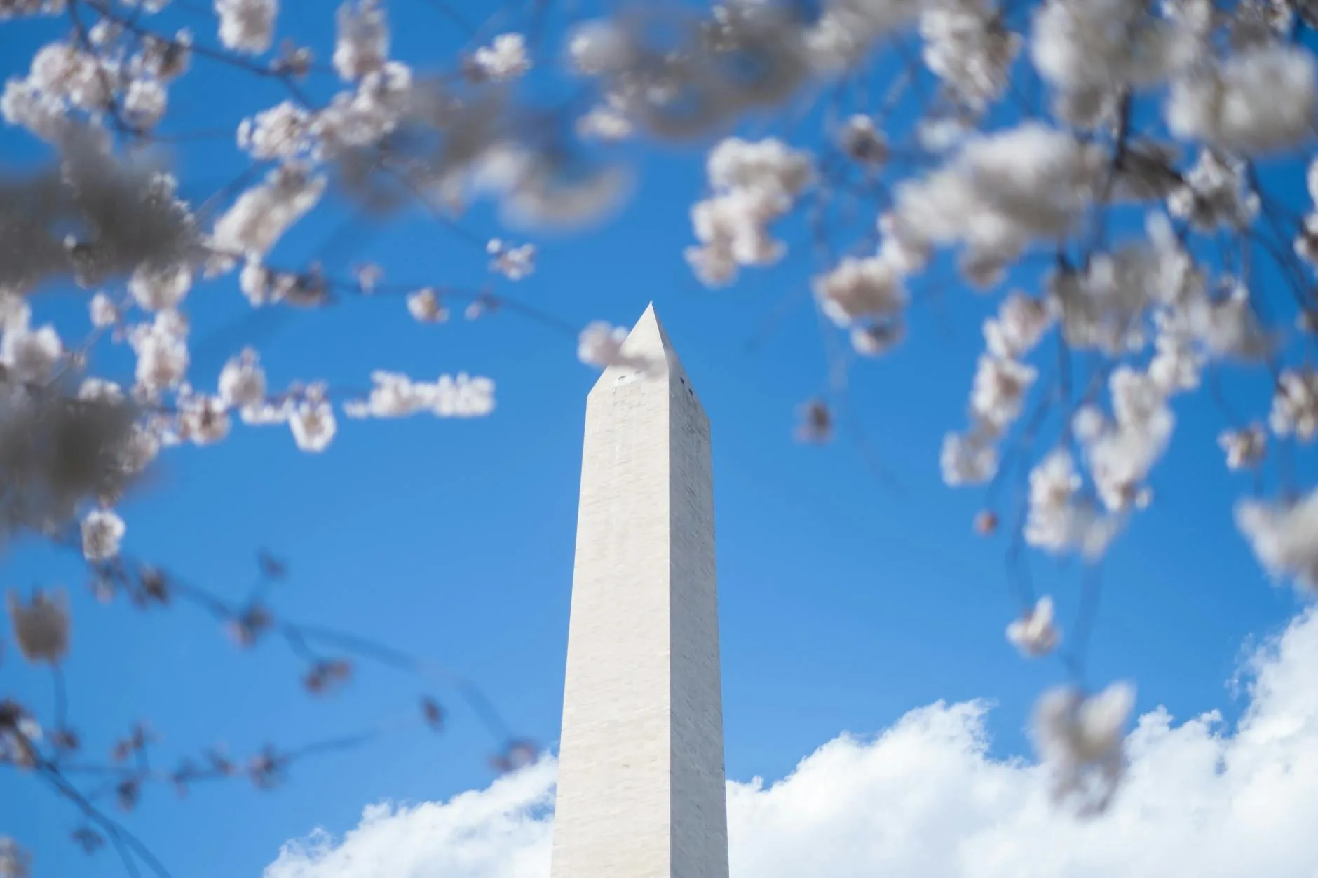 Washington DC skyline